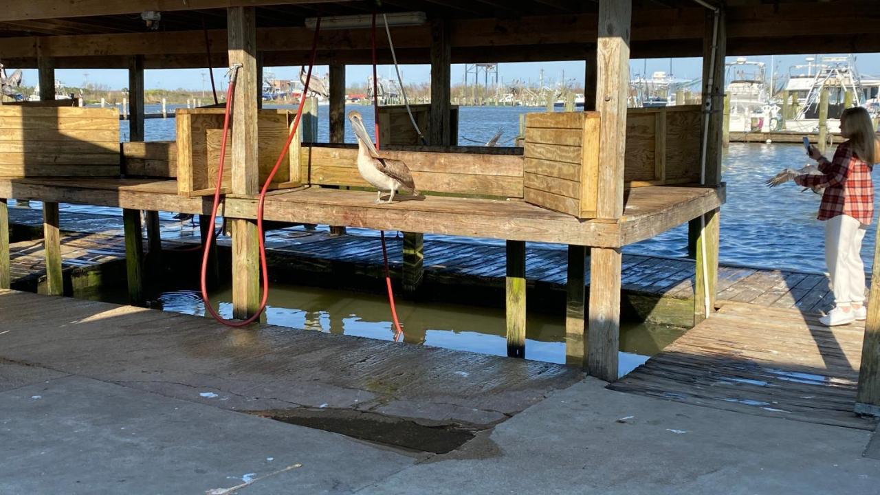 Resort Lodging At Venice Marina W/ Wifi + Private Dock Екстериор снимка